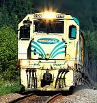 IMG_2825 omoto mk4.JPG